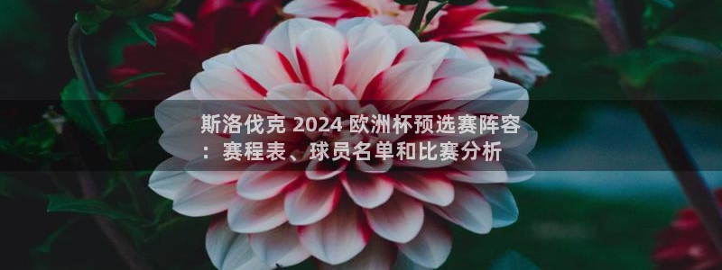 2024年欧洲杯投注